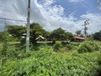 ขายบ้านเดี่ยว วังหลุม ตะพานหิน พิจิตร ขนาด 36-1-98.00 ของ ธนาคารกสิกรไทย