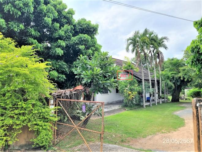 ทรายมูล สันกำแพง เชียงใหม่