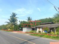 ขายบ้านเดี่ยว บ้านนิคม บางขัน นครศรีธรรมราช ขนาด 6-2-49.00 ของ ธนาคารกสิกรไทย