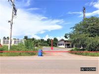 ขายบ้านเดี่ยว หนองบัว หนองกุงศรี กาฬสินธุ์ ขนาด 16-0-0.00 ของ ธนาคารกสิกรไทย