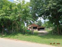 ขายบ้านเดี่ยว พนมไพร พนมไพร ร้อยเอ็ด ขนาด 0-1-45.00 ของ ธนาคารกสิกรไทย