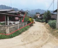 ขายบ้านเดี่ยว ภูซาง ภูซาง พะเยา ขนาด 0-1-88.00 ของ ธนาคารกสิกรไทย