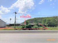 ขายบ้านเดี่ยว