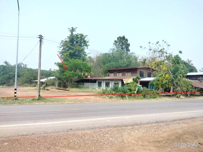 ปทุมวาปี ส่องดาว สกลนคร