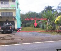ขายบ้านเดี่ยว เขาโร ทุ่งสง นครศรีธรรมราช ขนาด 0-0-86.00 ของ ธนาคารกสิกรไทย