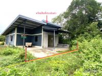 ขายบ้านเดี่ยว