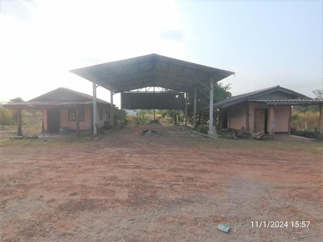 ม่วง บ้านม่วง สกลนคร