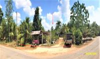 ขายบ้านเดี่ยว