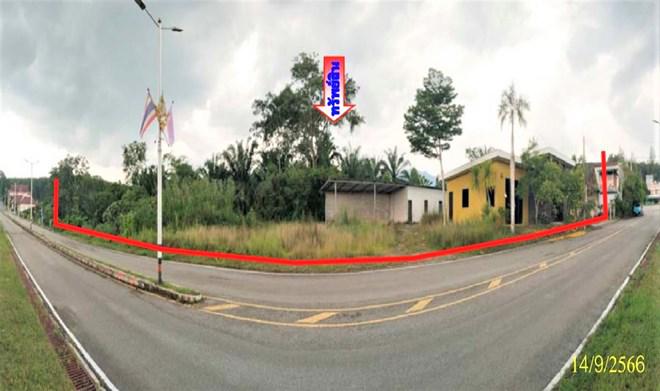 ต้นยวน พนม สุราษฎร์ธานี