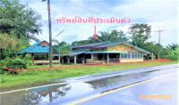 ขายบ้านเดี่ยว