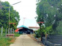 ขายบ้านเดี่ยว ศาลาแดง เมืองอ่างทอง อ่างทอง ขนาด 0-1-0 ของ ธนาคารกสิกรไทย
