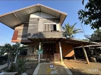 ขายบ้านเดี่ยว บุ่งคล้า หล่มสัก เพชรบูรณ์ ขนาด 1-0-95.00 ของ ธนาคารกสิกรไทย