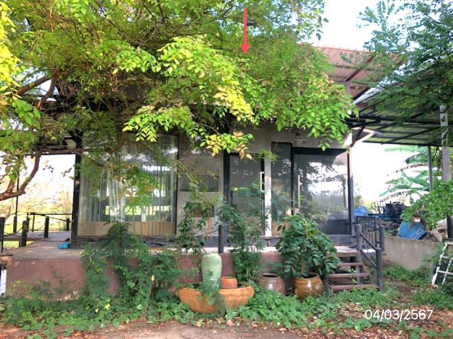 สมอแข เมืองพิษณุโลก พิษณุโลก