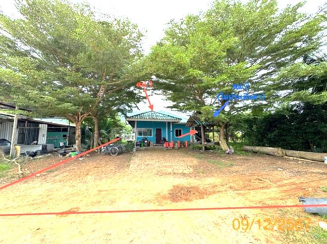ป่าคลอก ถลาง ภูเก็ต