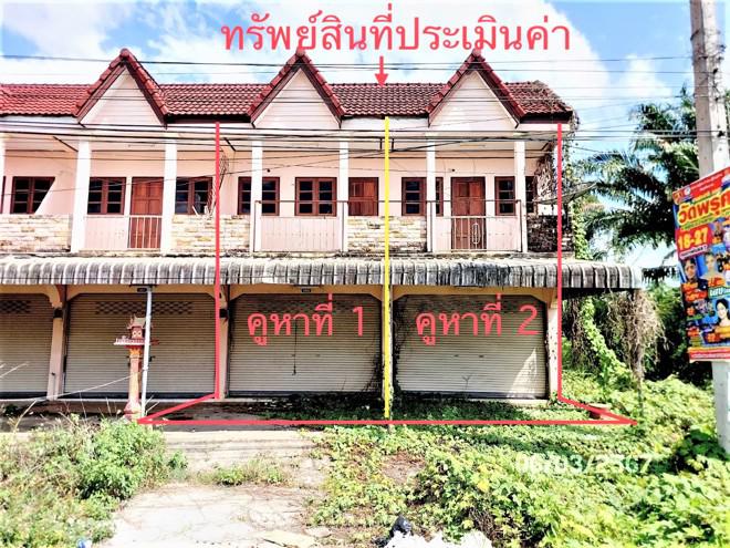 ต้นยวน พนม สุราษฎร์ธานี