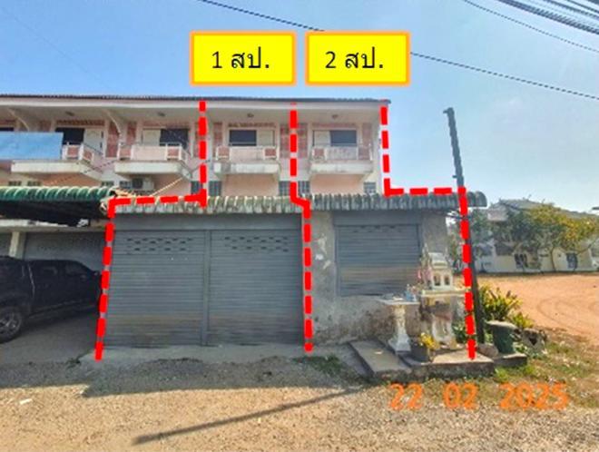 ขี้เหล็ก แม่แตง เชียงใหม่