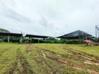 ขายอาคารโรงงาน