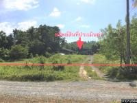 ขายอาคารสำนักงาน เขาโร ทุ่งสง นครศรีธรรมราช ขนาด 2-3-93.80 ของ ธนาคารกสิกรไทย