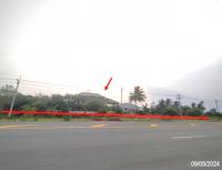 ขายโกดัง หนองผือ ท่าลี่ เลย ขนาด 29-3-67.00 ของ ธนาคารกสิกรไทย