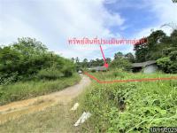 ขายโกดัง นาตาล่วง เมืองตรัง ตรัง ขนาด 2-2-26.60 ของ ธนาคารกสิกรไทย