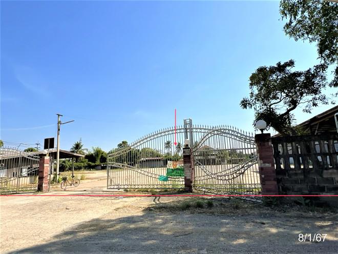 เสือโฮก เมืองชัยนาท ชัยนาท