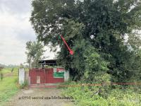 ขายโกดัง บ้านพริก บ้านนา นครนายก ขนาด 3-1-96.20 ของ ธนาคารกสิกรไทย