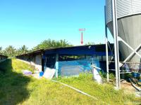 ขายฟาร์ม