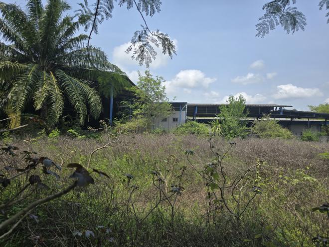 พงศ์ประศาสน์ บางสะพาน ประจวบคีรีขันธ์