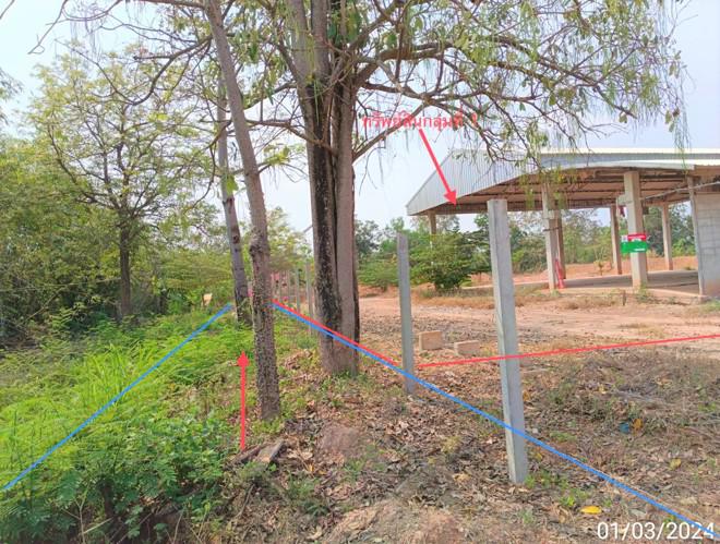 บ้านกล้วย เมืองสุโขทัย สุโขทัย