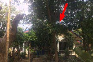 220 หมู่ 10 ถ.สายบ้านเขื่องคา-บ้านขุมเงิน กม.3+000 •เขื่องคำ •เมืองยโสธร •ยโสธร