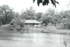 88 ถ.เลียบคลองชลประทาน •เมืองใหม่ •ราชสาส์น •ฉะเชิงเทรา
