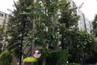 ขายห้องชุด/คอนโดมิเนียม 945/640 อาคาร D ชั้น 4 ซอย สุขุมวิท 113 (ด่านสำโรง) ถนน สุขุมวิทสำโรงเหนือ เมืองสมุทรปราการ สมุทรปราการ ขนาด 0-0-26.62 ของ ธนาคารไทยพาณิชย์