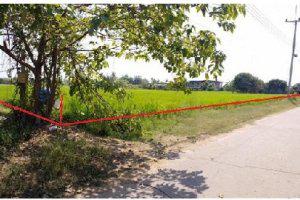 หมู่ 4 ซ.ไม่มีชื่อ (ทางสาธารณะฯ) ถ.สายบึงสีไฟ-วัดขนุน (พ4003) เมืองเก่า เมืองพิจิตร พิจิตร