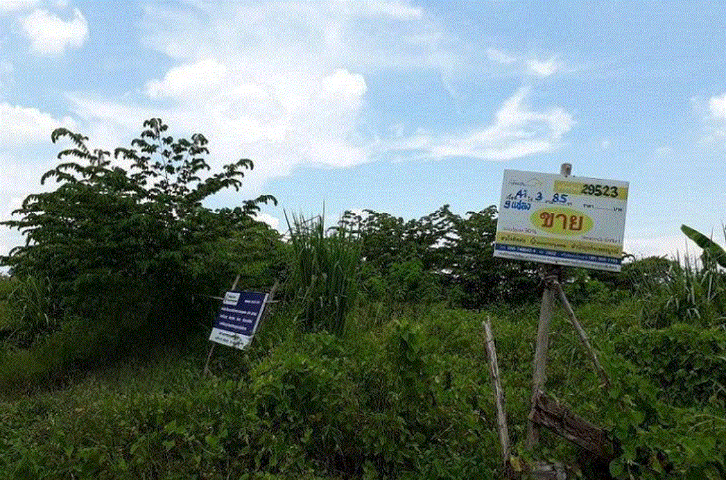 ขายที่ดิน บ้านโตก เมืองเพชรบูรณ์ เพชรบูรณ์ ขนาด 47-2-75.7-0 (ไร่-งาน-วา-เมตร) ของ ธนาคารกรุงเทพ