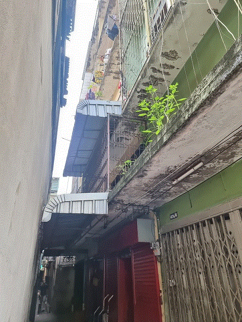 ขายอาคารพาณิชย์