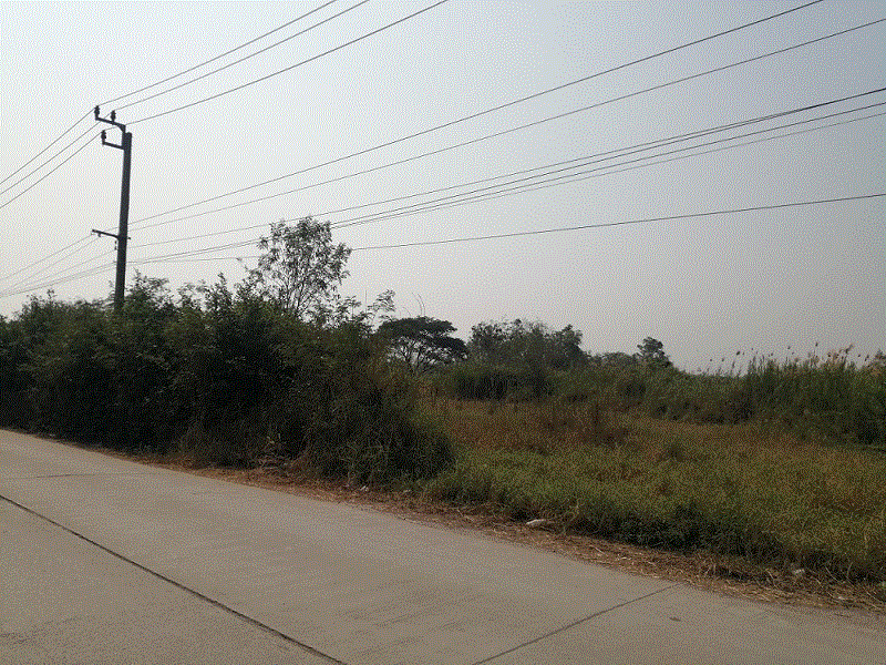 ขายที่ดิน