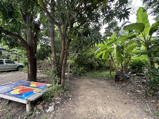 ท่าแร้ง บางเขน กรุงเทพมหานคร