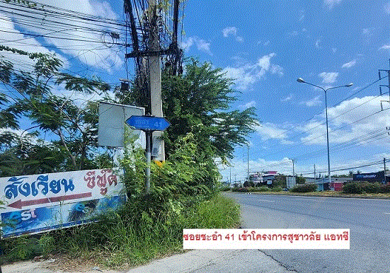 ขายทาวน์เฮ้าส์  ขนาด  ของ ธนาคารกรุงเทพ