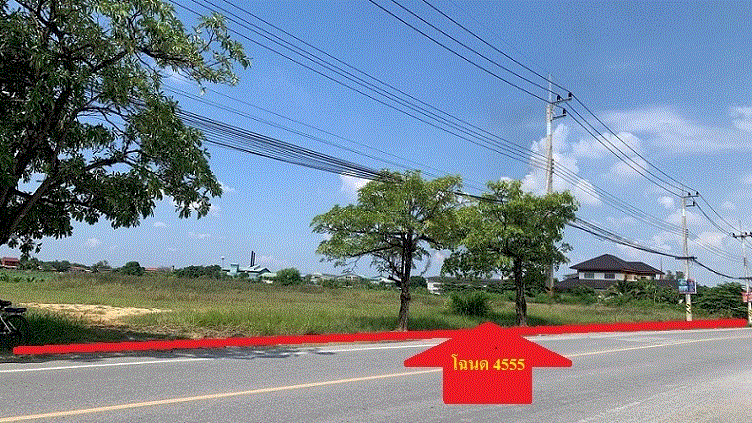 ขายที่ดิน  ขนาด  ของ ธนาคารกรุงเทพ