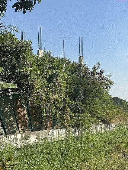 ขายบ้าน บ้านกลาง เมืองปทุมธานี ปทุมธานี ขนาด 1-0-63.6-0 (ไร่-งาน-วา-เมตร) ของ ธนาคารกรุงเทพ