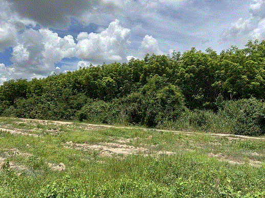 เกาะขนุน พนมสารคาม ฉะเชิงเทรา