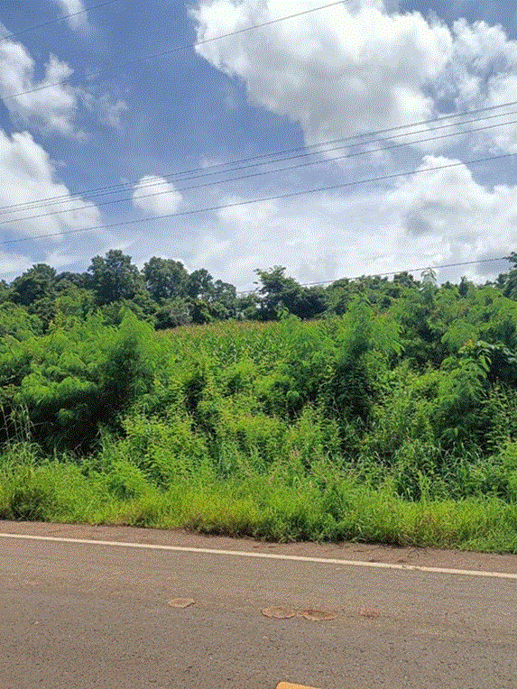 ขายที่ดิน