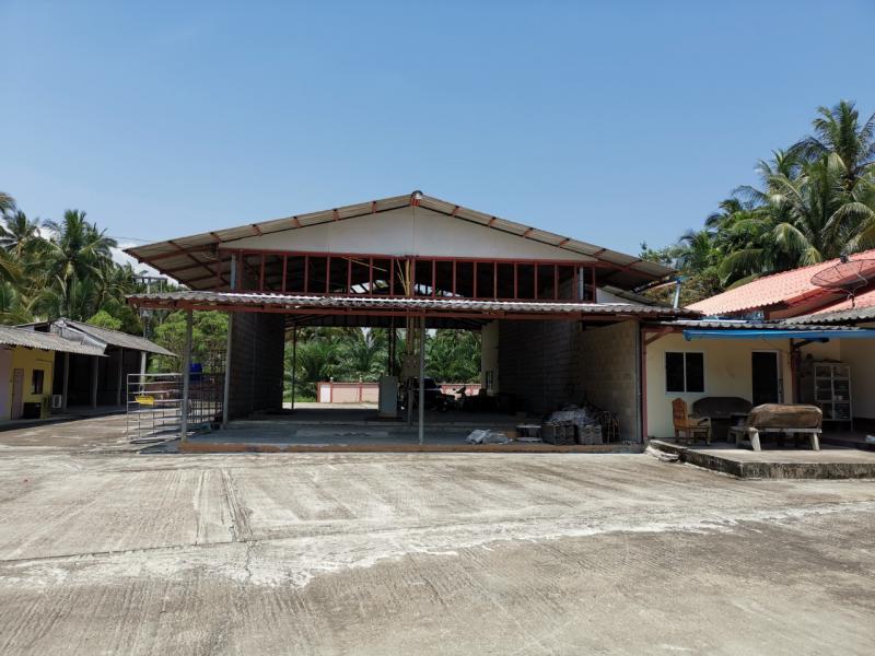 ธงชัย บางสะพาน ประจวบคีรีขันธ์